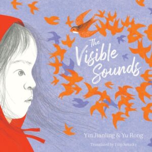 The Visible Sounds